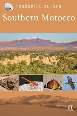 Crossbill Guide Southern Morocco Betaalbaar