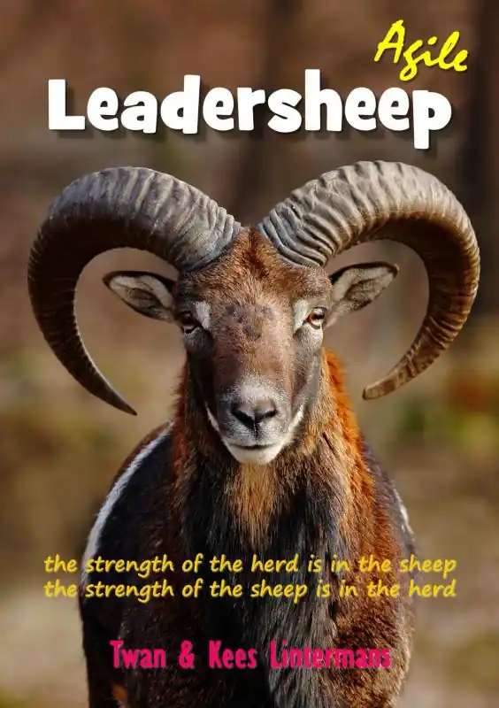 Agile leadersheep Laatste Versie
