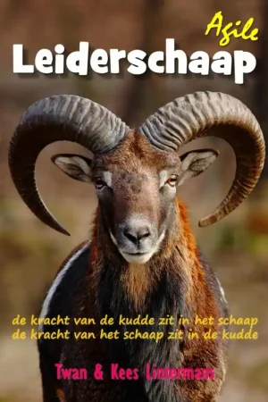 Agile leiderschaap Merkproduct