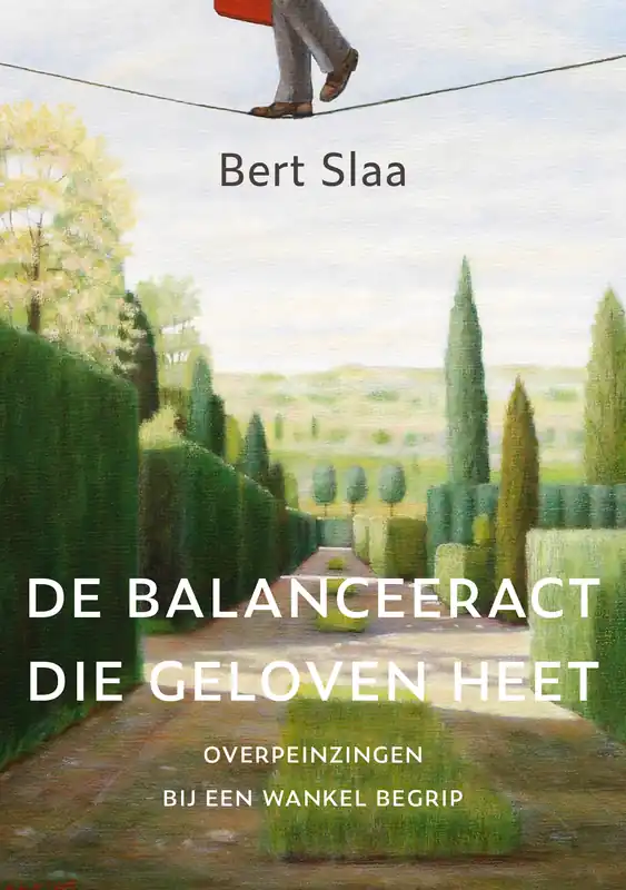 Actieprijs De balanceeract die geloven heet