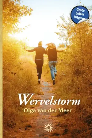 Wervelstorm Hoge Kwaliteit