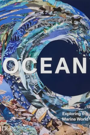Ocean Koopje