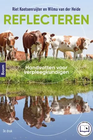 Reflecteren Laatste Versie