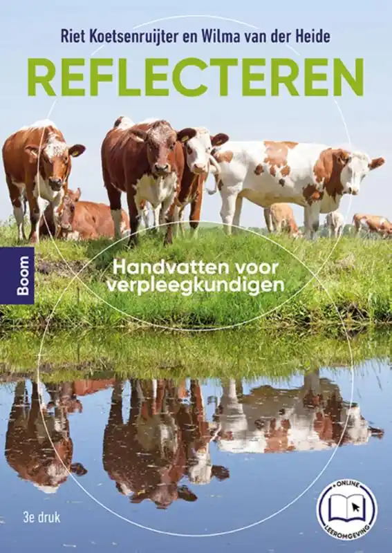 Reflecteren Laatste Versie