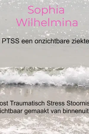 Weekendaanbieding PTSS een onzichtbare ziekte ...