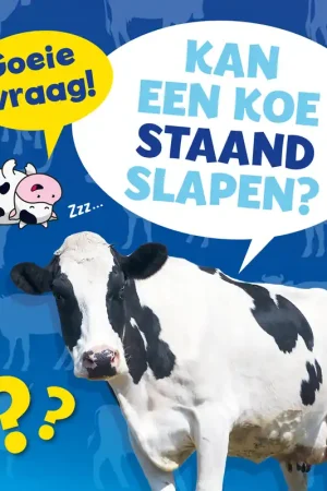 Kan een koe staand slapen? Flitsaanbieding