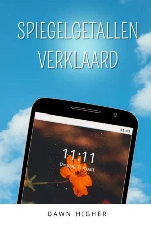 Spiegelgetallen verklaard Bestseller