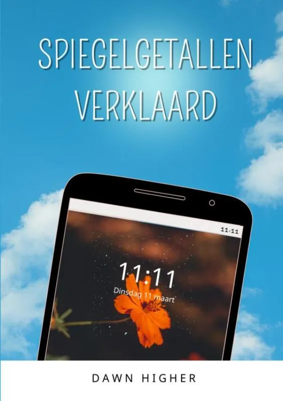 Spiegelgetallen verklaard Bestseller