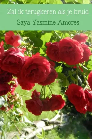 Zal ik terugkeren als je bruid Koopje