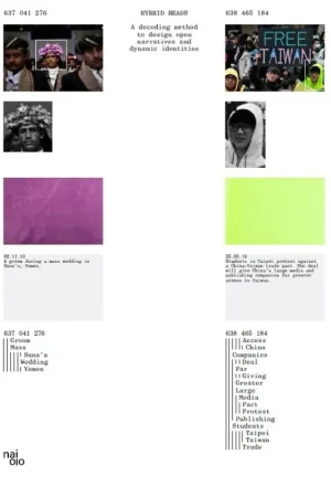 Beperkt Aanbod Hybrid Heads