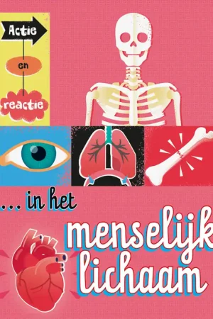 Actie en reactie in het menselijk lichaam Bestseller
