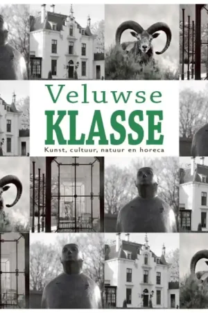 Veluwse Klasse Fabrieksprijs