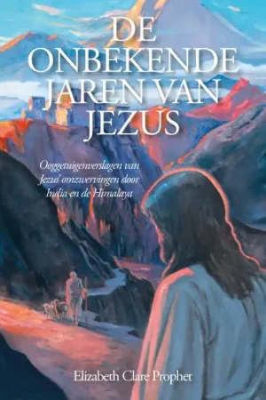 Beste Prijs De Onbekende Jaren van Jezus