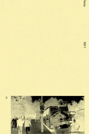 99:1 Veilige Betaling