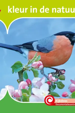 Aanbieding Kleur in de natuur