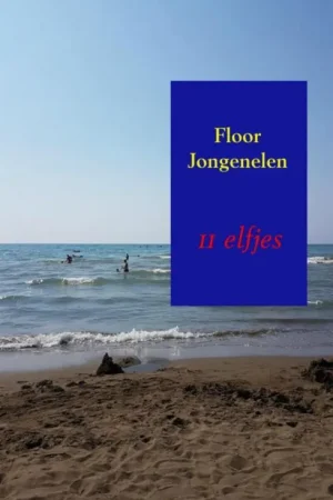 11 elfjes Koopje
