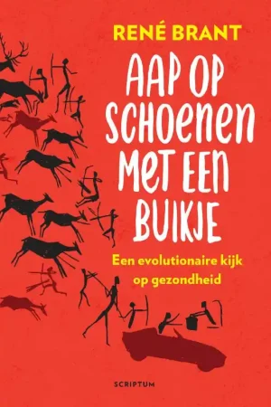 Aap op schoenen met een buikje Koop Vandaag