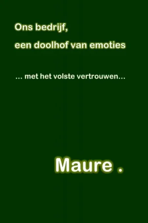 Aanbieding Ons bedrijf, een doolhof van emoties