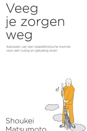 Veeg je zorgen weg Koop Online