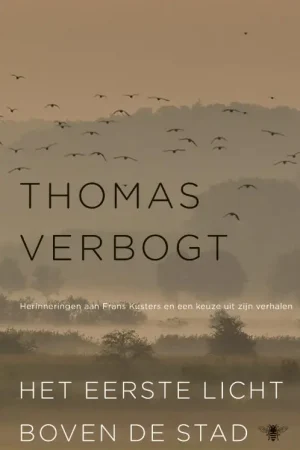 Direct Verzonden Het eerste licht boven de stad