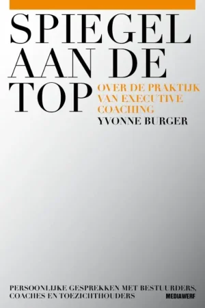 Spiegel aan de top Beperkte Voorraad