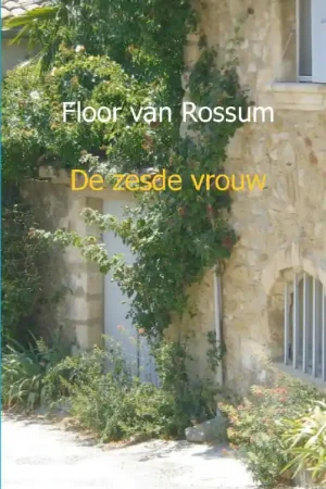 Weekendaanbieding De zesde vrouw