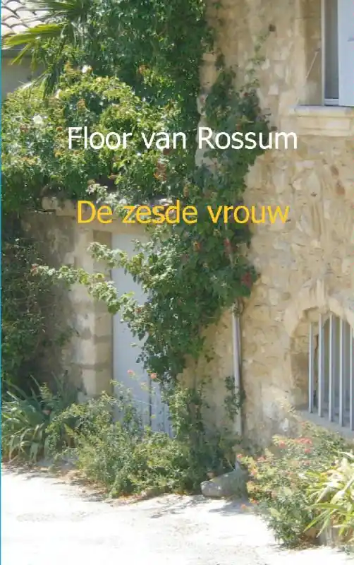 Weekendaanbieding De zesde vrouw