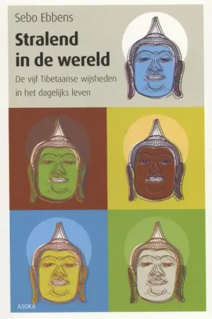 Stralend in de wereld Lage Kosten