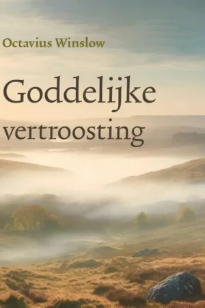 Koop Online Goddelijke vertroosting