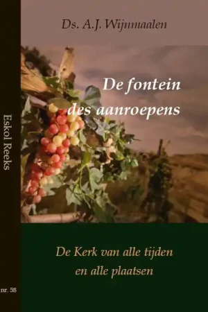 Actieprijs De fontein des aanroepens