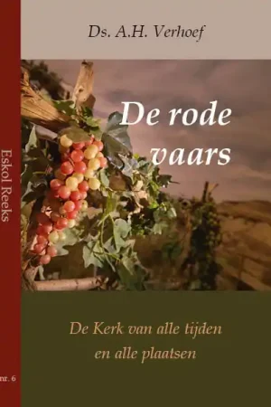 Beste Prijs De rode vaars
