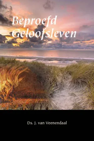 Beproefd geloofsleven Direct Verzonden