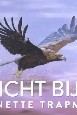 Dicht bij U Koop Online