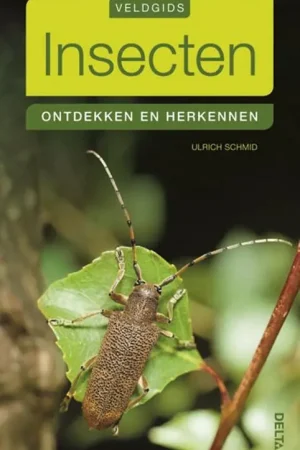 Insecten Beste Prijs