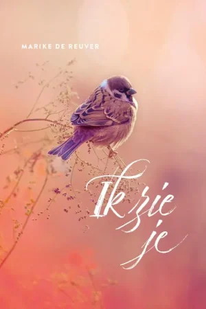 Flitsaanbieding Ik zie je