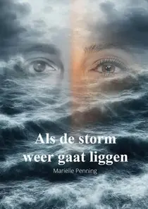 Als de storm weer gaat liggen Direct Beschikbaar