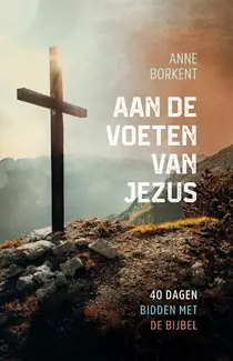 Aan de voeten van Jezus Lage Kosten