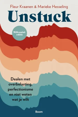 Veilige Betaling Unstuck