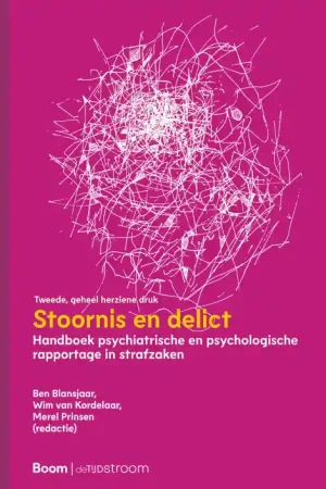 Veilige Betaling Stoornis en delict (herziening)