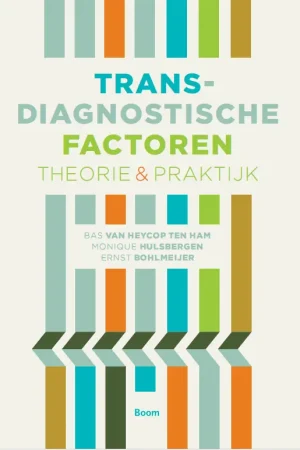 Transdiagnostische factoren Veilige Betaling