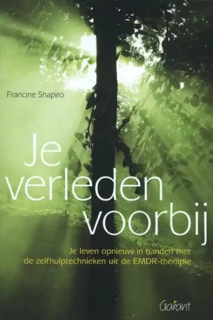 Veilige Betaling Je verleden voorbij