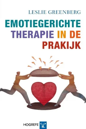 Aanbieding Emotiegerichte therapie in de praktijk