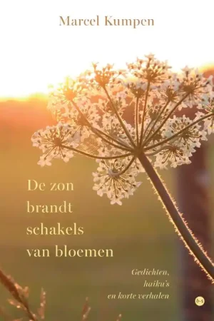 Beperkte Voorraad De zon brandt schakels van bloemen