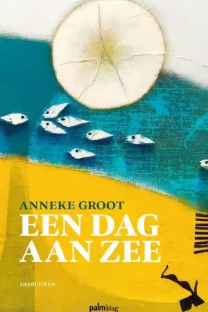 Aanbieding Een dag aan zee
