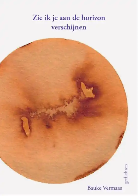 Zie ik je aan de horizon verschijnen Veilige Betaling