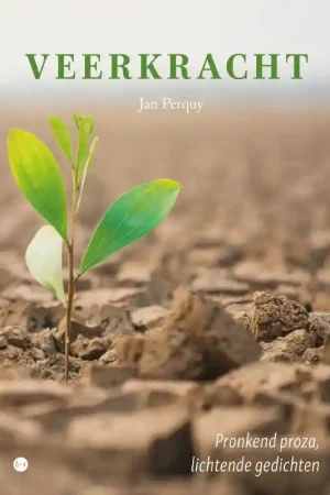 Beperkte Voorraad Veerkracht