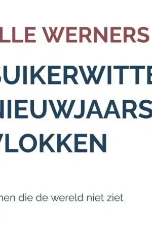 SUIKERWITTE NIEUWJAARSVLOKKEN Korting