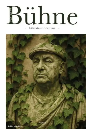 Direct Verzonden Bühne 20