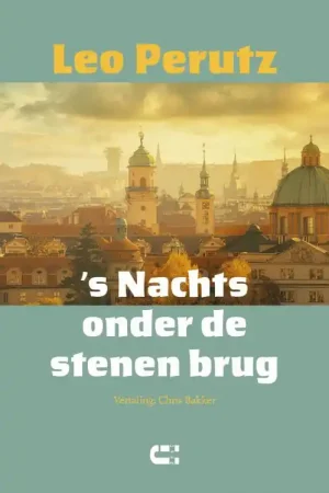 's Nachts onder de stenen brug Direct Beschikbaar