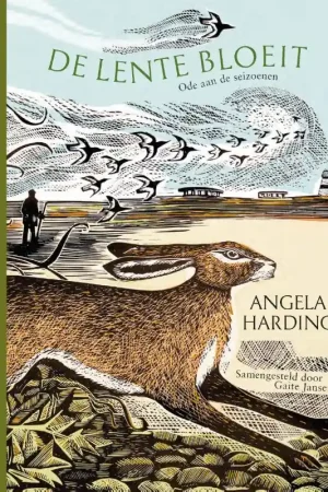 De lente bloeit Koop Vandaag